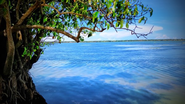 Arugam Bay
