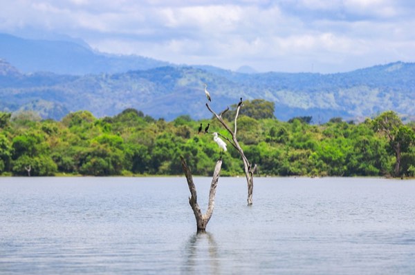 Udawalawe
